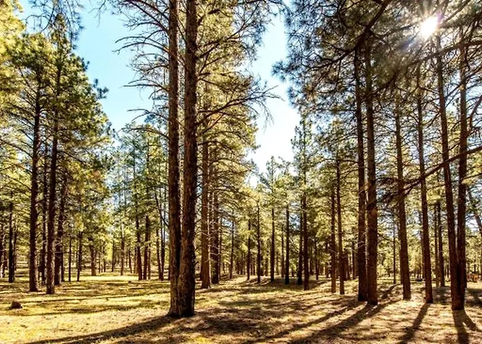 Holiday home Cozy Historic Log With Fire Pit And Private Backyard On The Edge Of The Kaibab National Forest In Parks, Arizona Parks